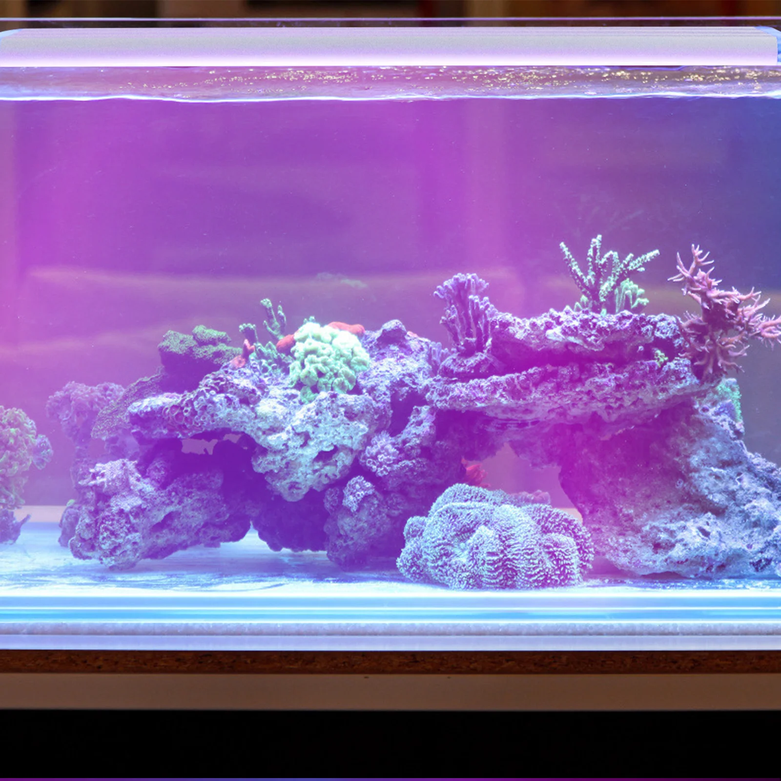 

Fish Tank Supply Landscaping Light Scene Layout Prop Decor Aquarium Accessory LED Lamp Adornment Ornament