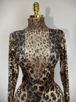 Women 2025 Stretch Leopard Print Sexy Bodycon Jumpsuit Bar Nightclub Singer Dancer Luxury Diamond Stage Performance Outfit - Image 5