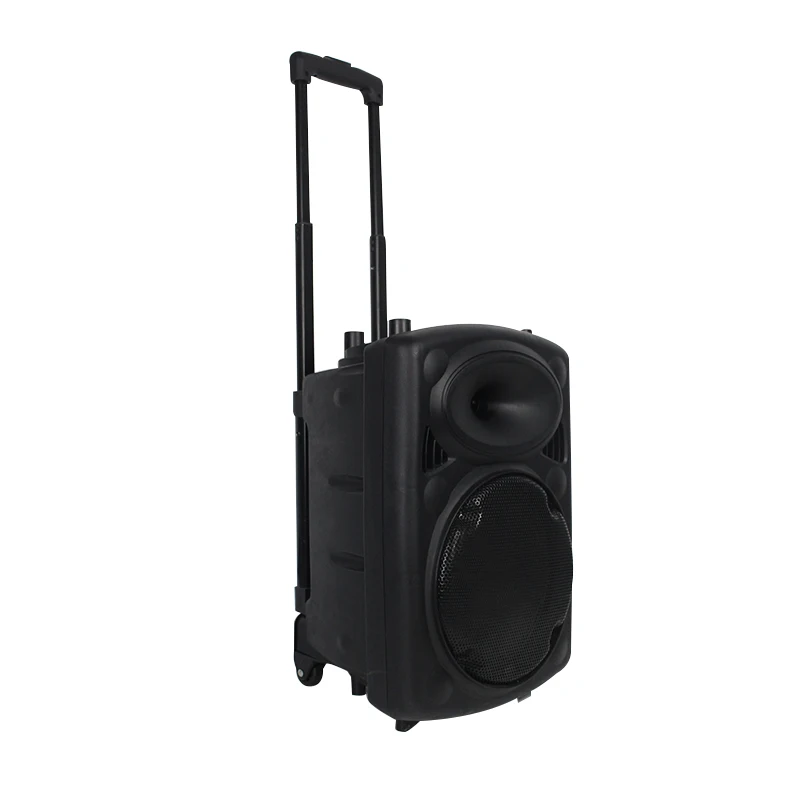 15-inch public cart speaker with microphone/   /remote control