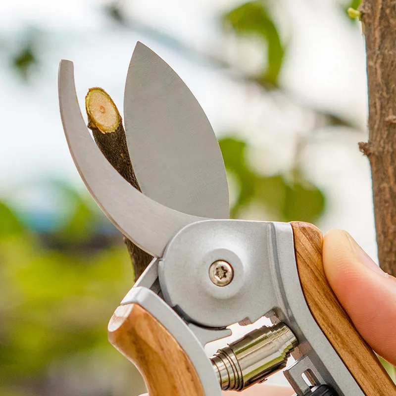 Small Scale Floral Pruning, Cutting Fresh Cut Flowers, and Specialized Green Plant Scissors for Flower Arrangement