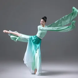 Chinese Classic Yangko Dance Costume National Folk Dancewear Woman Water Sleeve Stage Performance Outfit Hanfu Dance Clothing