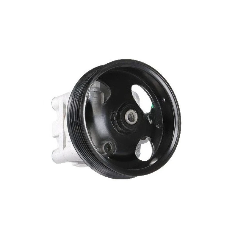 

49110-1AA0A 49110-1AA0C Power steering pump