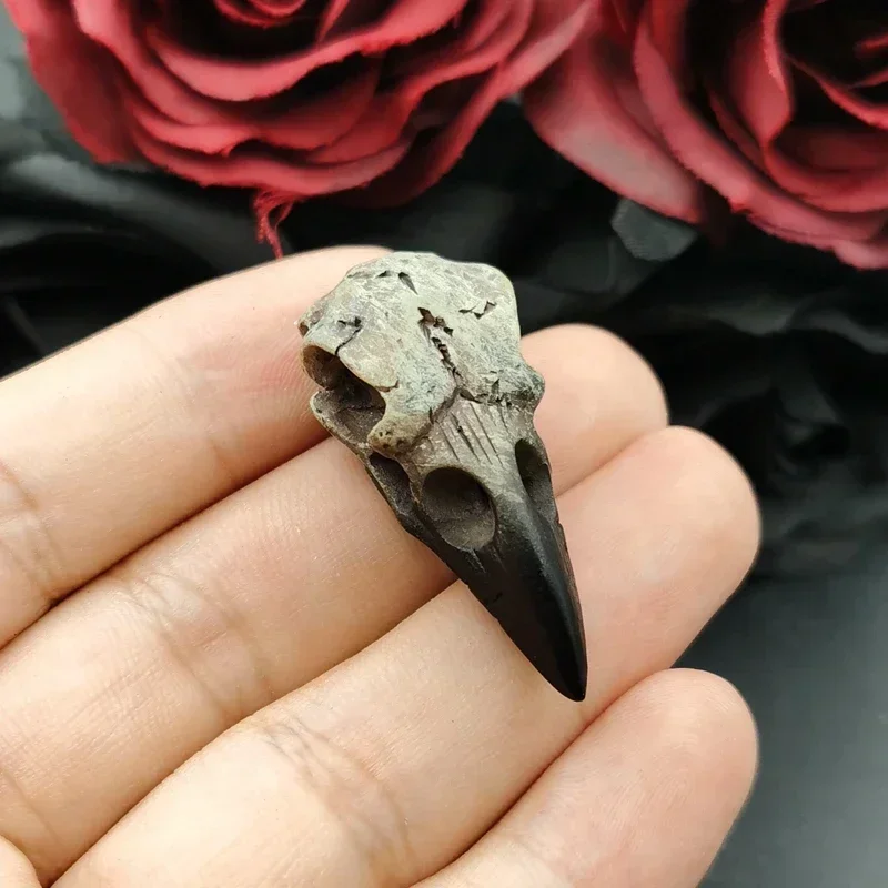 2pcs 18*40mm Mini Raven Skull Resin Replica Raven Magpie Poe Steampunk Gift Idea Zombie Skull Handcrafted Jewelry Accessories