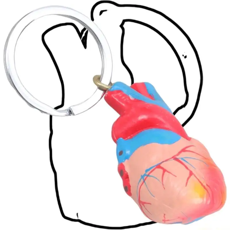 31BF Student Gift Heart Keychain Detailed Model Compact Learning Aid Decoration