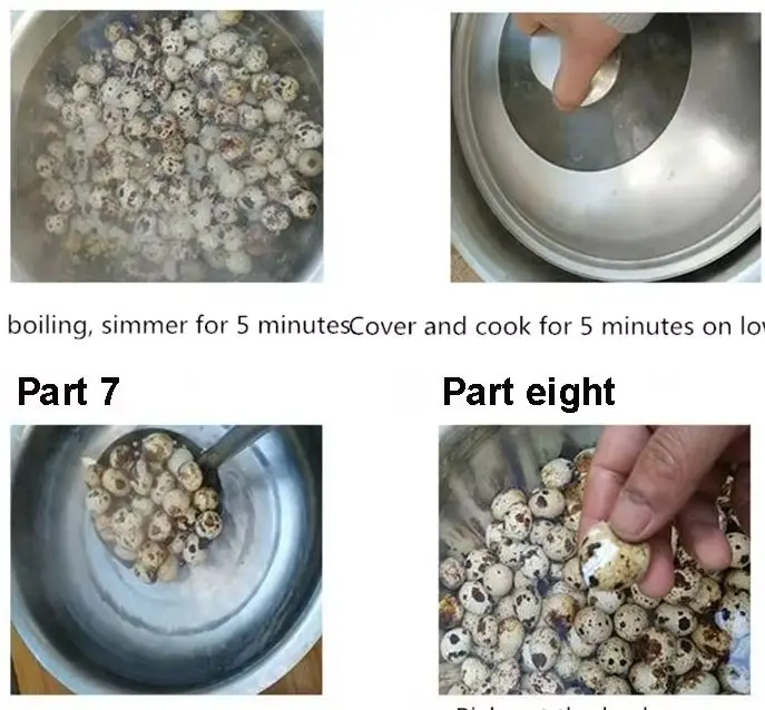

Quail Egg Sheller Egg Skinning Machine Small Peeling Machine