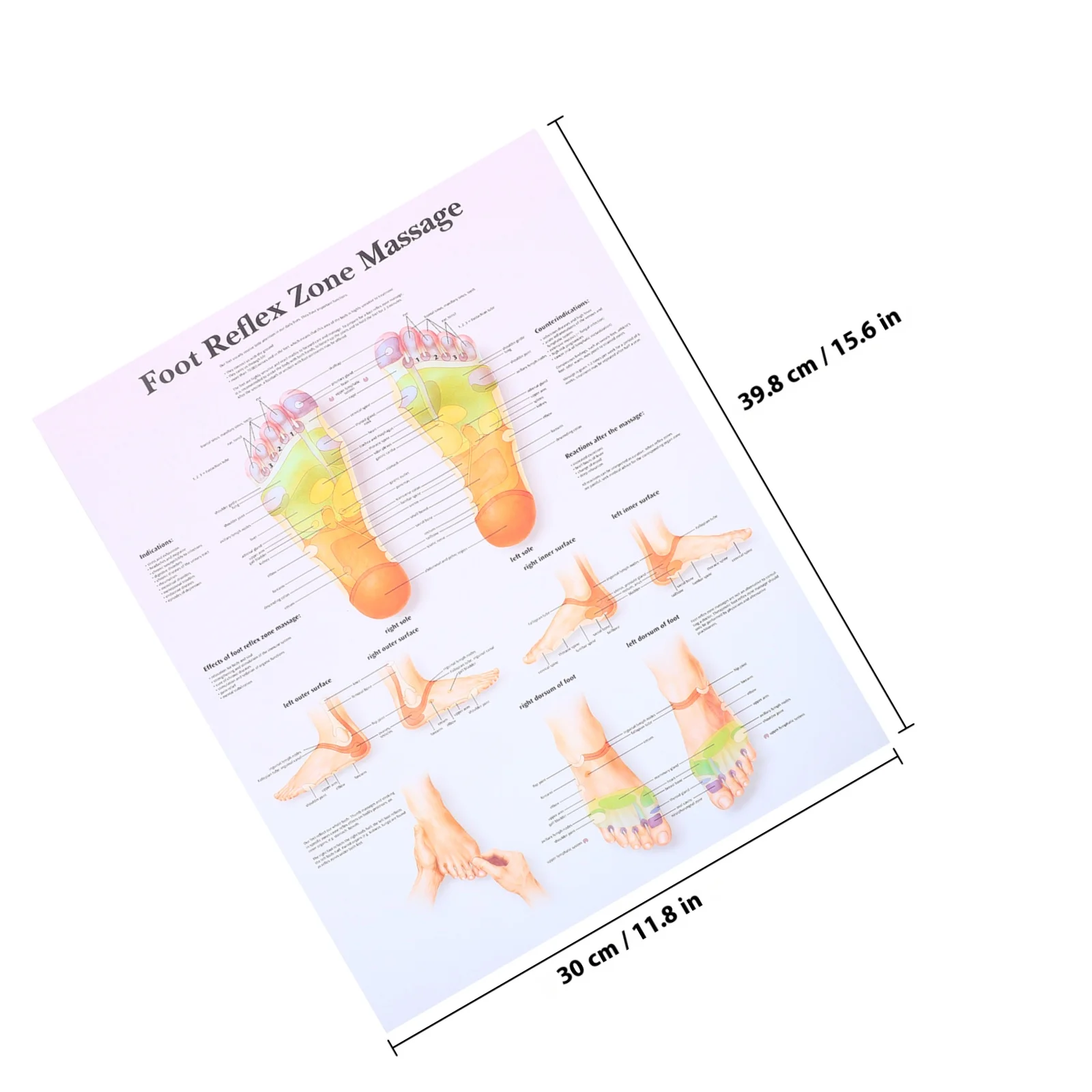 ملصق مخطط ريفليكسولوجي للقدم، مخطط ريفليكسولوجي شامل، متين، مقاوم للبقع، سهل التنظيف، ديكور الفصول الدراسية للمكتب #3