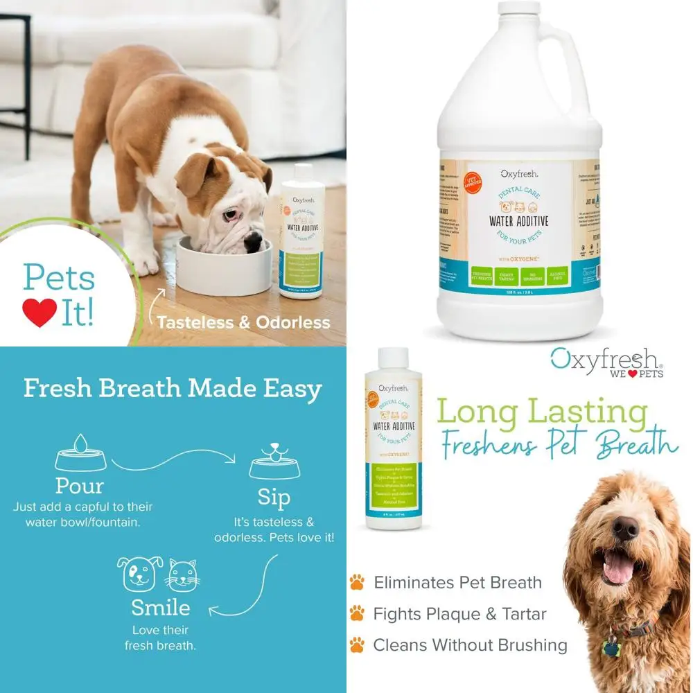

Oxyfresh Premium Dental Solution: Vet-Approved, Tartar & Plaque Fighter, Eliminates Pet Bad Breath, Easy Water Additive, 128 oz.