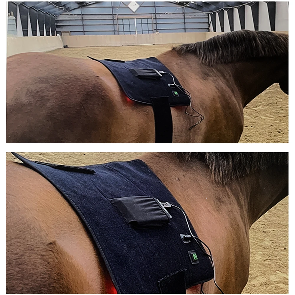 660nm 850nm Red Infrared Therapy Pad Horse & Dog Knee Joint Rehabilitation Equipment