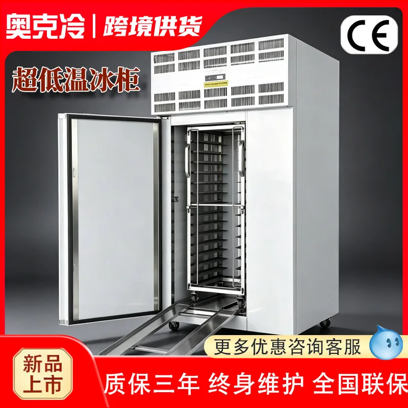 Quick-freezing cabinet Commercial freezing refrigerator minus 80 degree quick-freezing machine 40 degree 60 degree vertical ultr