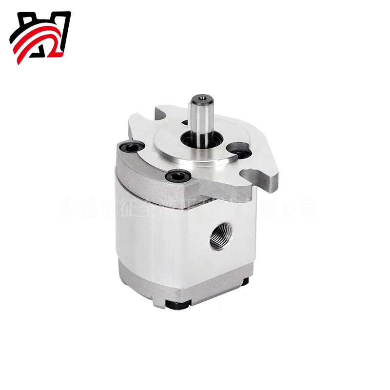 Zhengquan HGP-1A Pump Hydraulic Oil Pump High Pressure Boosting Rotary Quantitative Pump HGP-1A-F1 to F8R