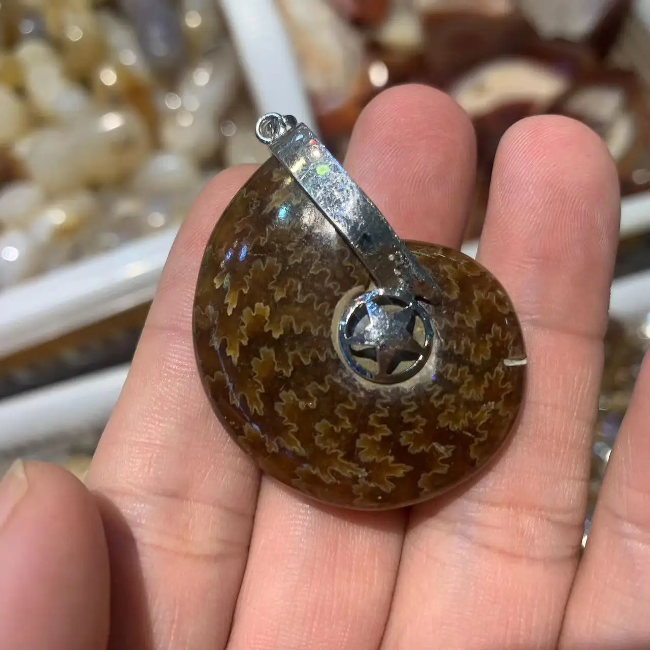 Ammonite Stone Pendant Natural Gemstone Necklace Pendants For Men For Women For Gift Wholesale !