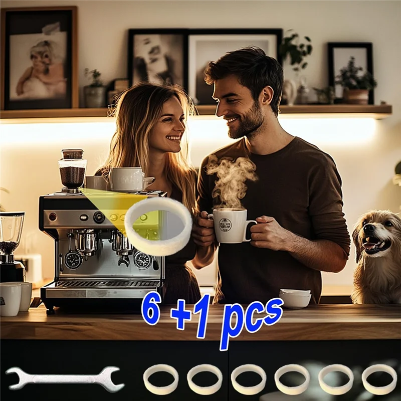 A07R Felt Washer Set Of 6 Repl - Breville Espresso Bes870 review and price