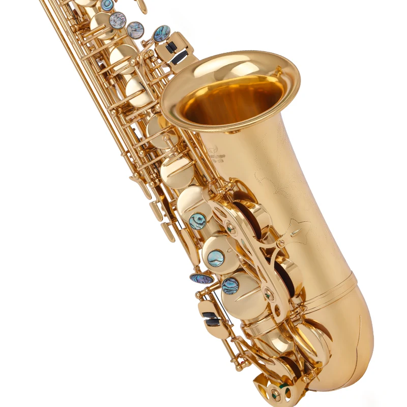 Eb Tone Alto Saxophone Brass Body Gold Lacquer Finish Eb Pad Woodwind For Student Band Daily Practice Performance