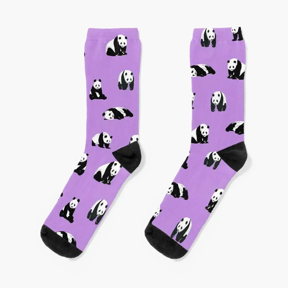 Pandas on Purple Socks summer golf Designer Man Socks Women's