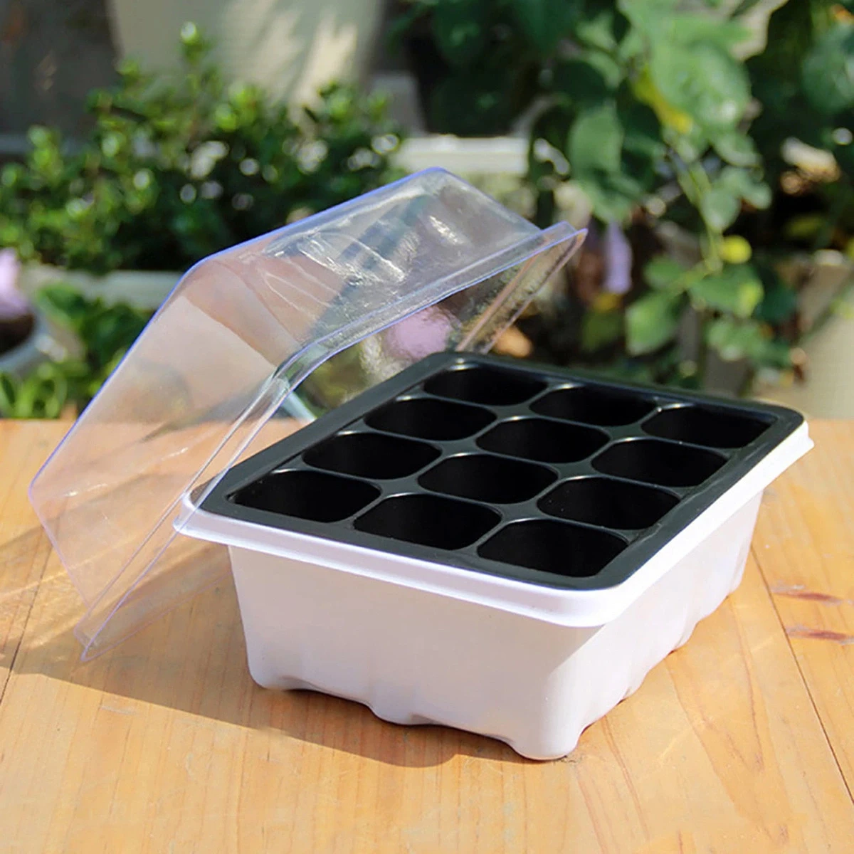 Seedling Box with 12 Holes, Seedling Box with Sowing and Seedling Hole Tray