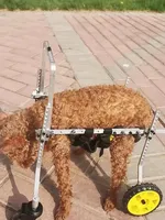 Dog Cat Wheelchair Hind Limb Paralysis Pet Scooter Disabled Dog Hind Leg Assistance Cat Teddy Large Small Dog Cart