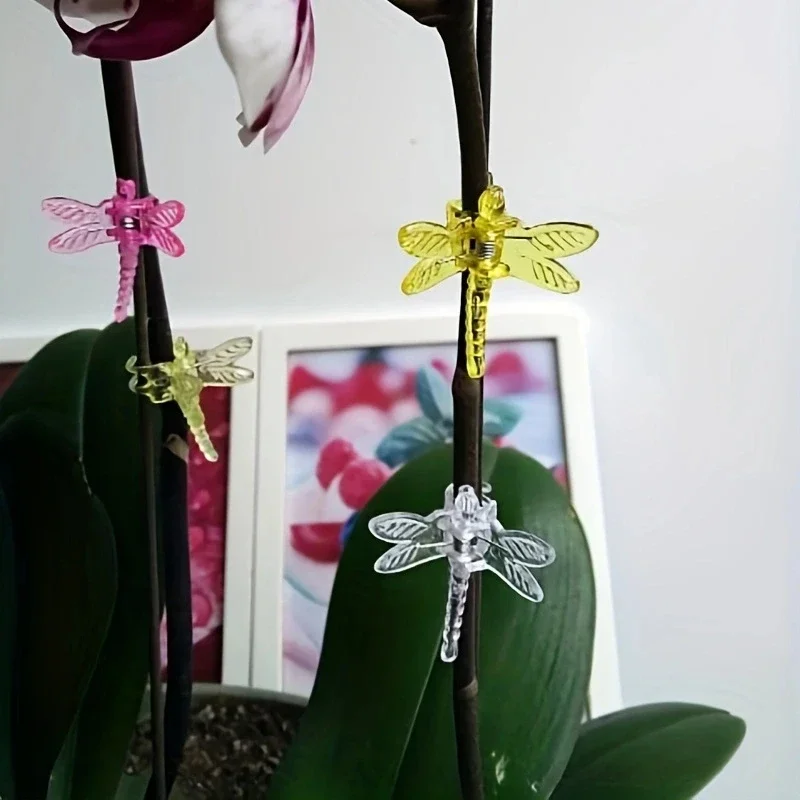 6pcs-Cute Butterfly Plant Clips Orchid Support Clamp for Fixing Garden Climbing Vine Stem Colorful Animal Decoration
