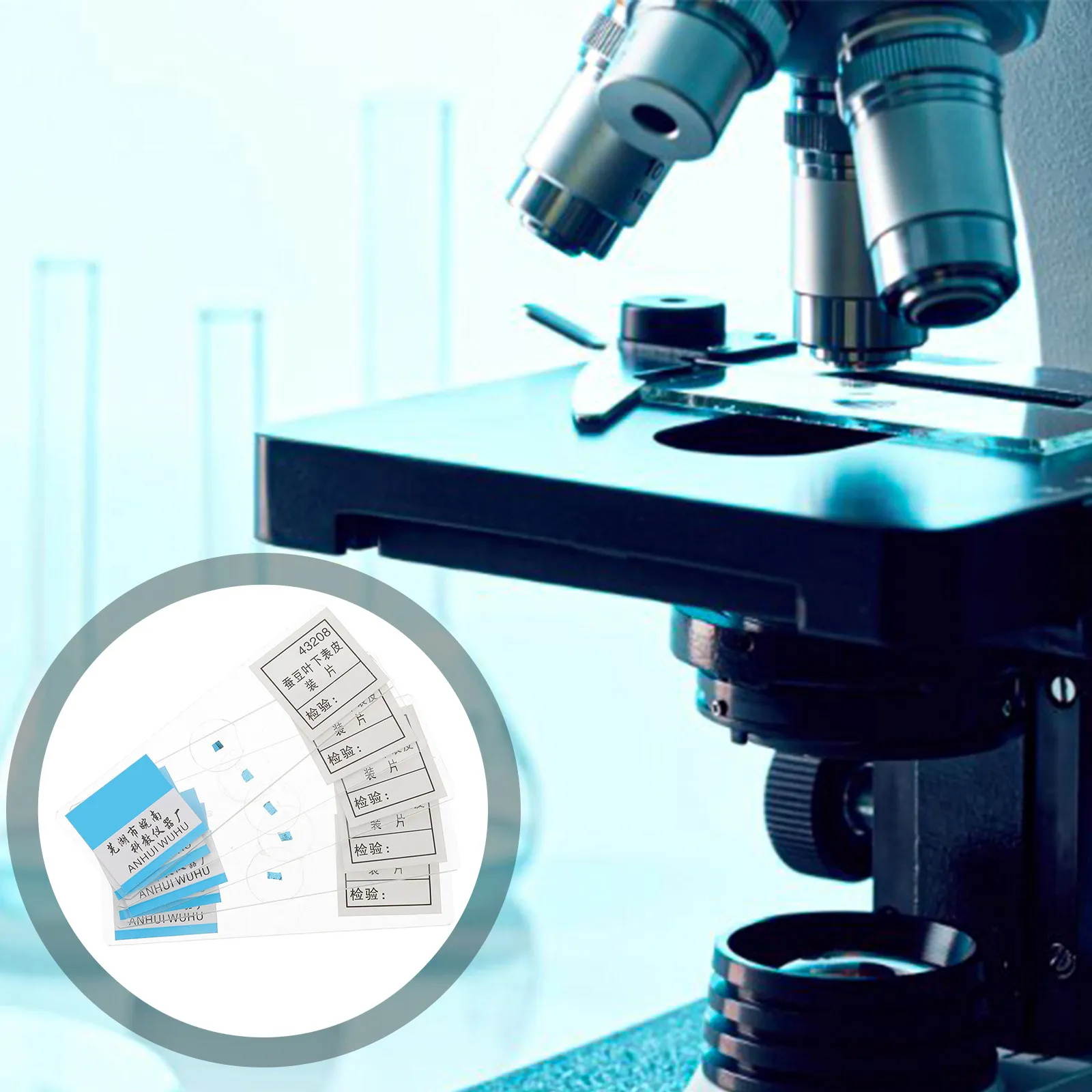 

5Pcs Prepared Microscope Slides Glass Broad Epidermis Educational Biological Science Study Accessories