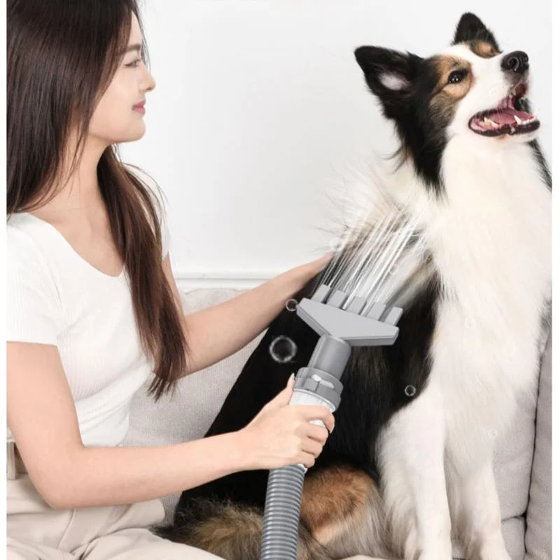 

2100W High-power Dog Dryers Household Large Hair Dryers Multiple Adjustable Levels Blow Driers Safe And Efficient Pet Grooming