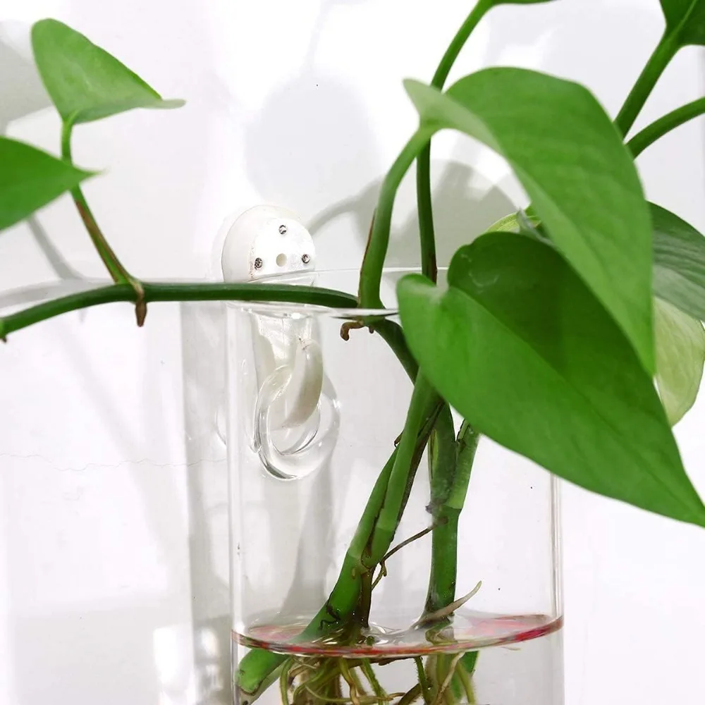 3/6Pack Wall Hanging Glass Planters Plant Terrarium Holders Wall Hanging  Transparent Planter Garden Living Room Wall Decor - AliExpress 15