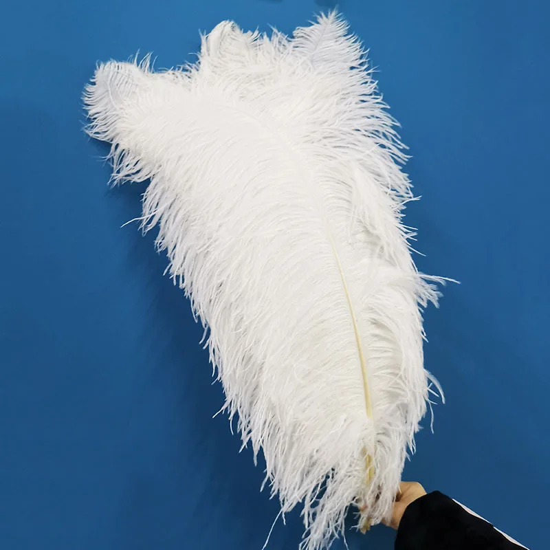 Promotion 10pcs/lot High Quality Ostrich Feather 75-80cmCM 30-32Inch Celebration Christmas Dancers Home Diy Plumas Plumes