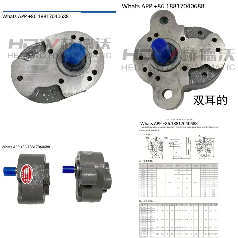 1PC 1PC Gear Pump for CB-B80 B100 B125 B160 Hydraulic Oil Transfer Pump High Pressure Industrial Machinery Parts