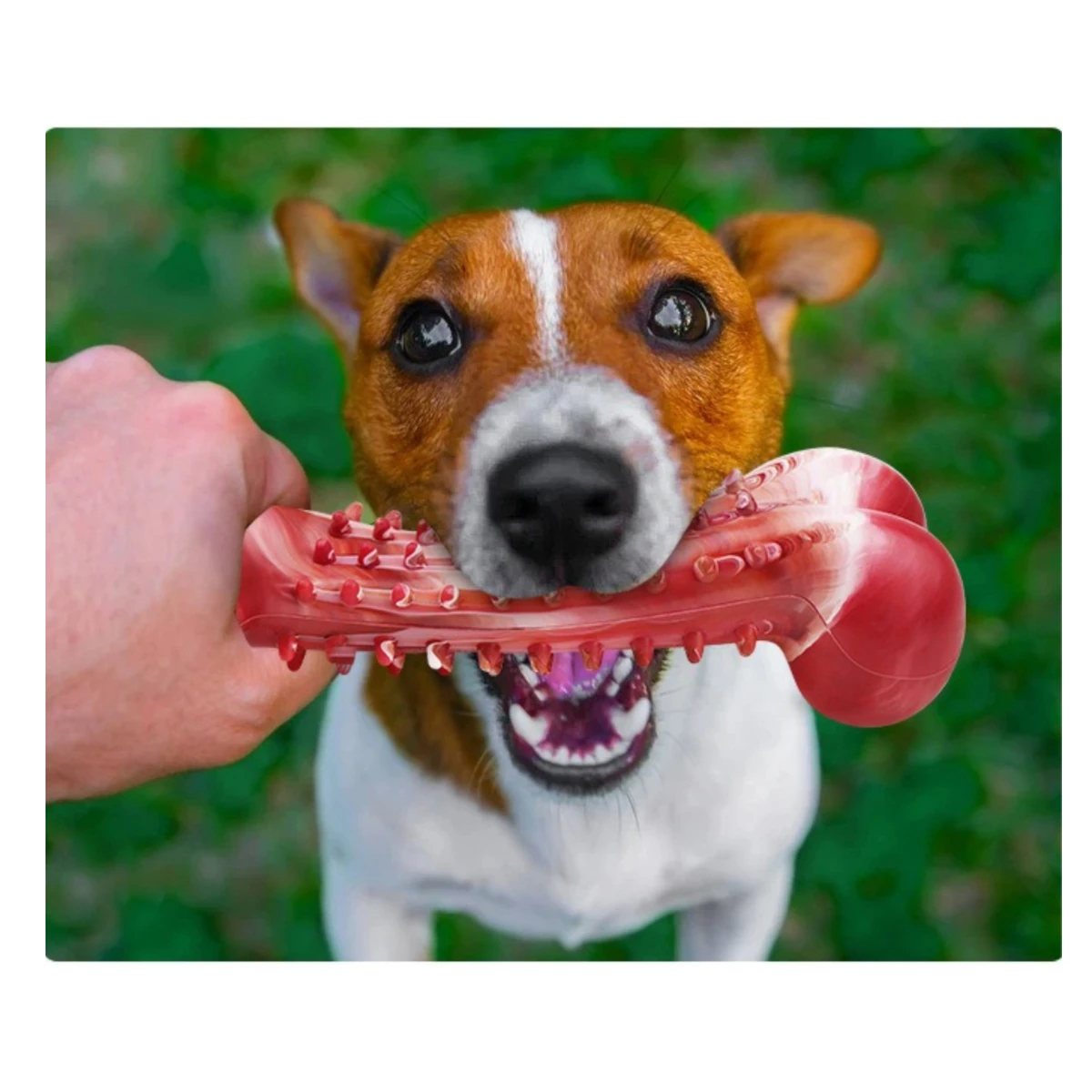 Large Dogs Tough Chew Toys for Super Aggressive Chewers Meat Flavor Indestructible Dog Teeth Cleaning Bones Chew Toys Dog Stuff