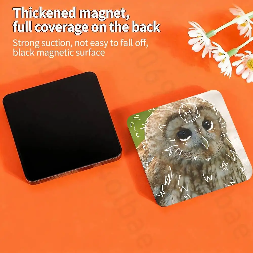 New Therian Delta Symbol Fridge Magnet Personalized Magnetic Durable Plastic Square Picture Surface Fridge Magnets