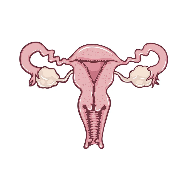 دبابيس بروش لؤلؤ للنساء ، مجوهرات طبية ، أمراض النساء ، رمز الطب ، هدية للطبيب والممرضة ، أنثى