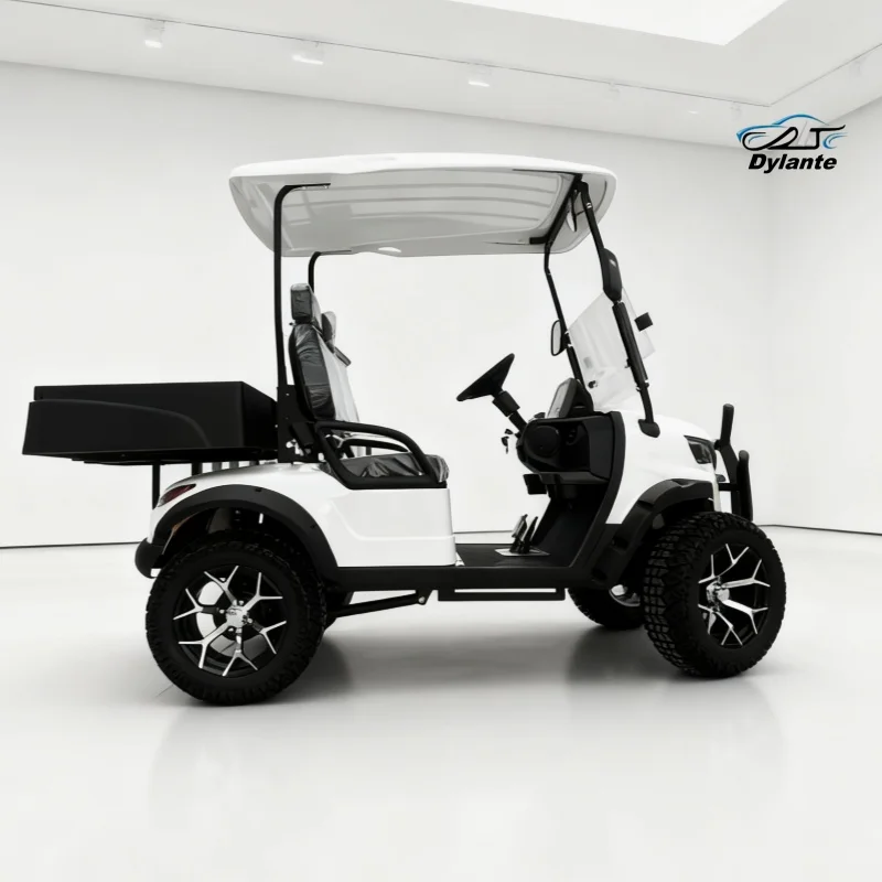 

Оптовая продажа, лучшая новая охотничья тележка с двигателем переменного тока 5 кВт, электрическая тележка для гольфа, литиевая клубная машина, практичный электрический экскурсионный автобус для взрослых