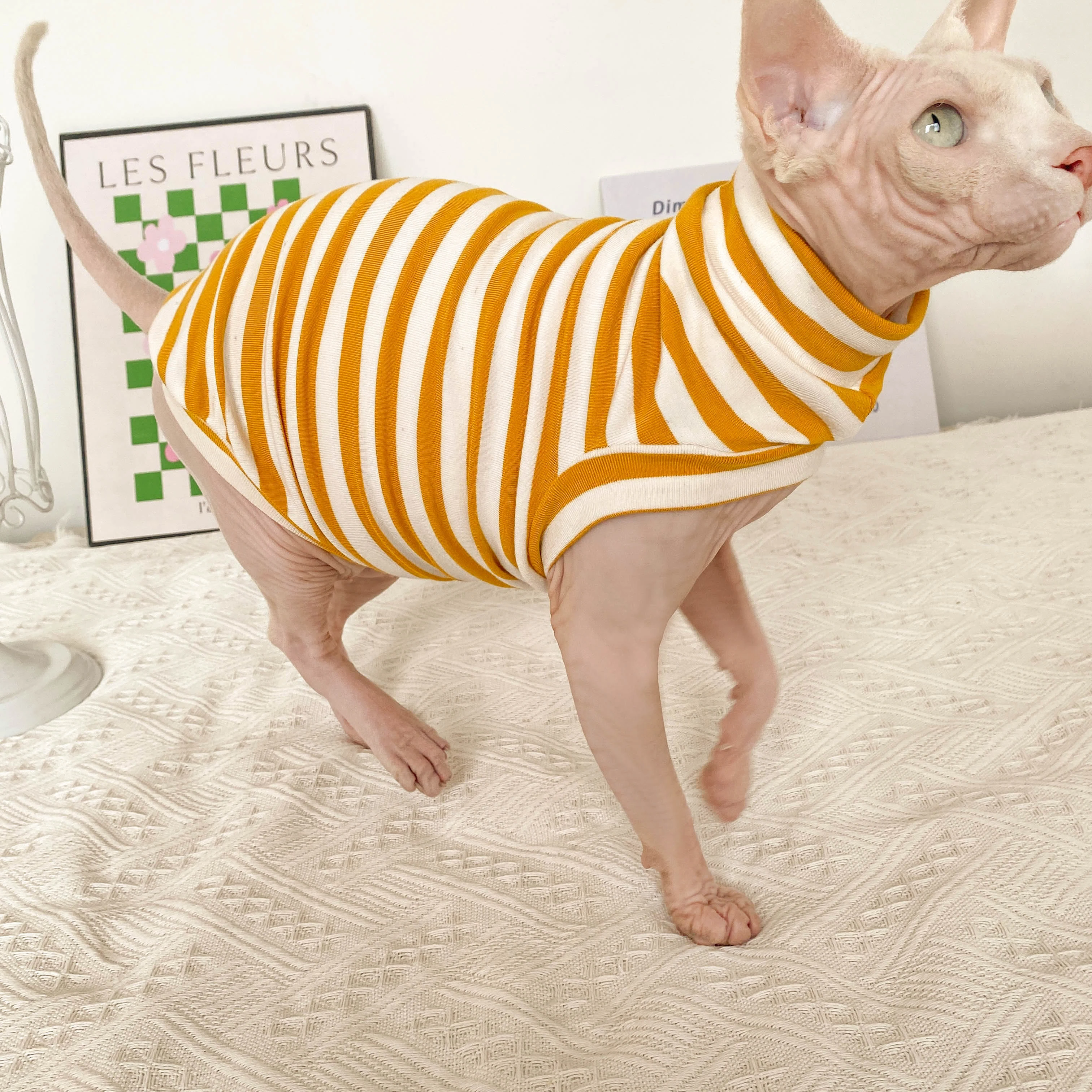 Spring Autumn Winter Sphynx Cat Clothes Thicken Kittens Jumpsuit For Sphinx Cats Striped Hoodies Warm Costume DevonRex Shirt