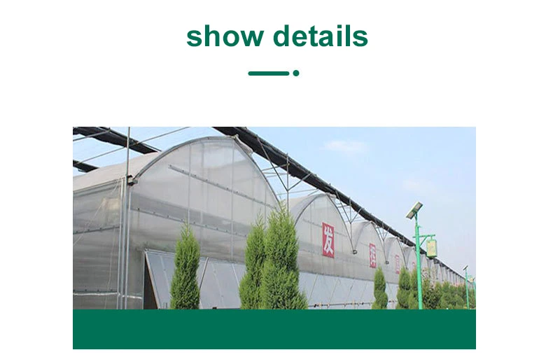 Szeroka oferta paneli PC do szklarni o niskim kosztie, szklarnie do uprawy ziół, szklarnie do pomidorów ze stalową konstrukcją i systemem hydroponicznym na rok 2025.