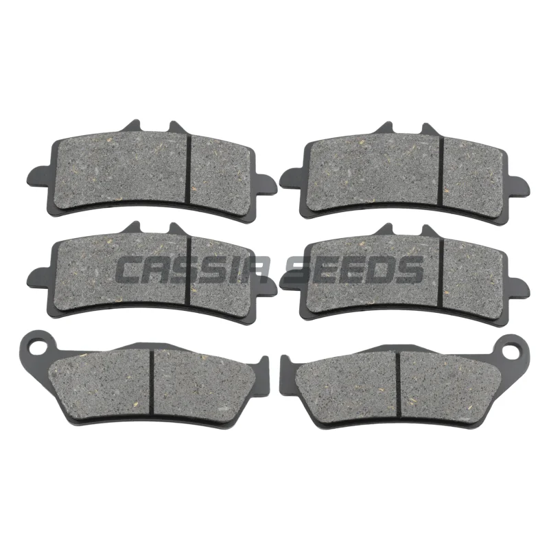 

Motorcycle front and rear brake pads for BMW HP 2 Sport (K29) 2008-2011