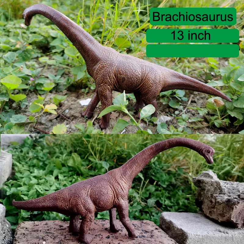 6 to 13 Inch Dinosaur Figure Set, Ideal Education Toys for Kids and Toddler, Iguanodon, Stegosaurus, Brachiosaurus,Velociraptor