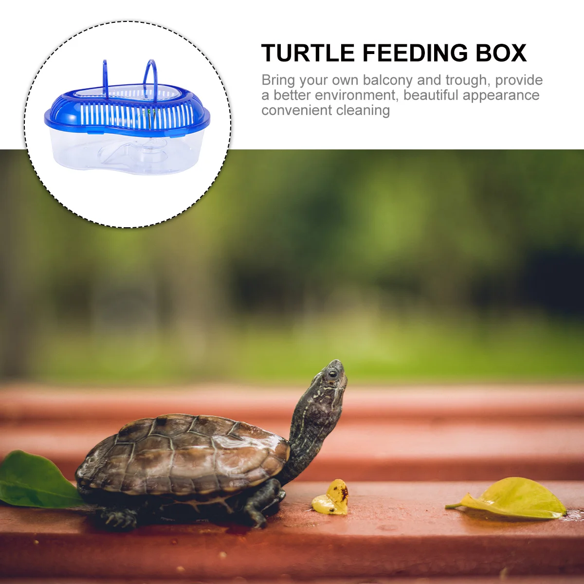 

Turtle Tank Drying Platform Large Space Non Toxic PP Material Water Turtles High Transparency Portable Pet Container
