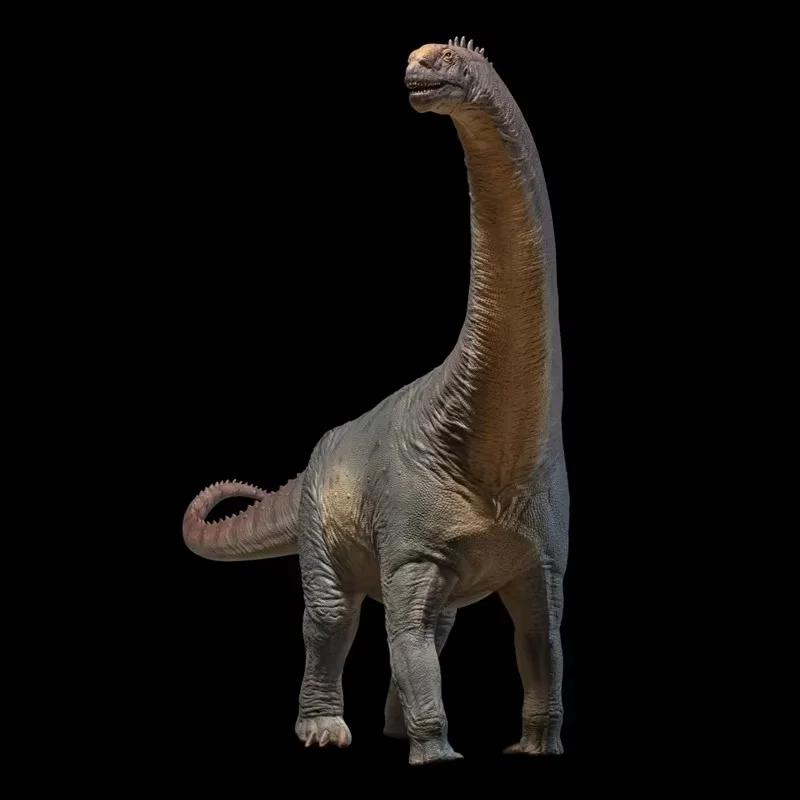 نموذج ديناصور ما قبل التاريخ 85 نموذج ديناصور Camarasaurus Niyol تمثال لعبة جمع الحلي هدايا العيد للأصدقاء