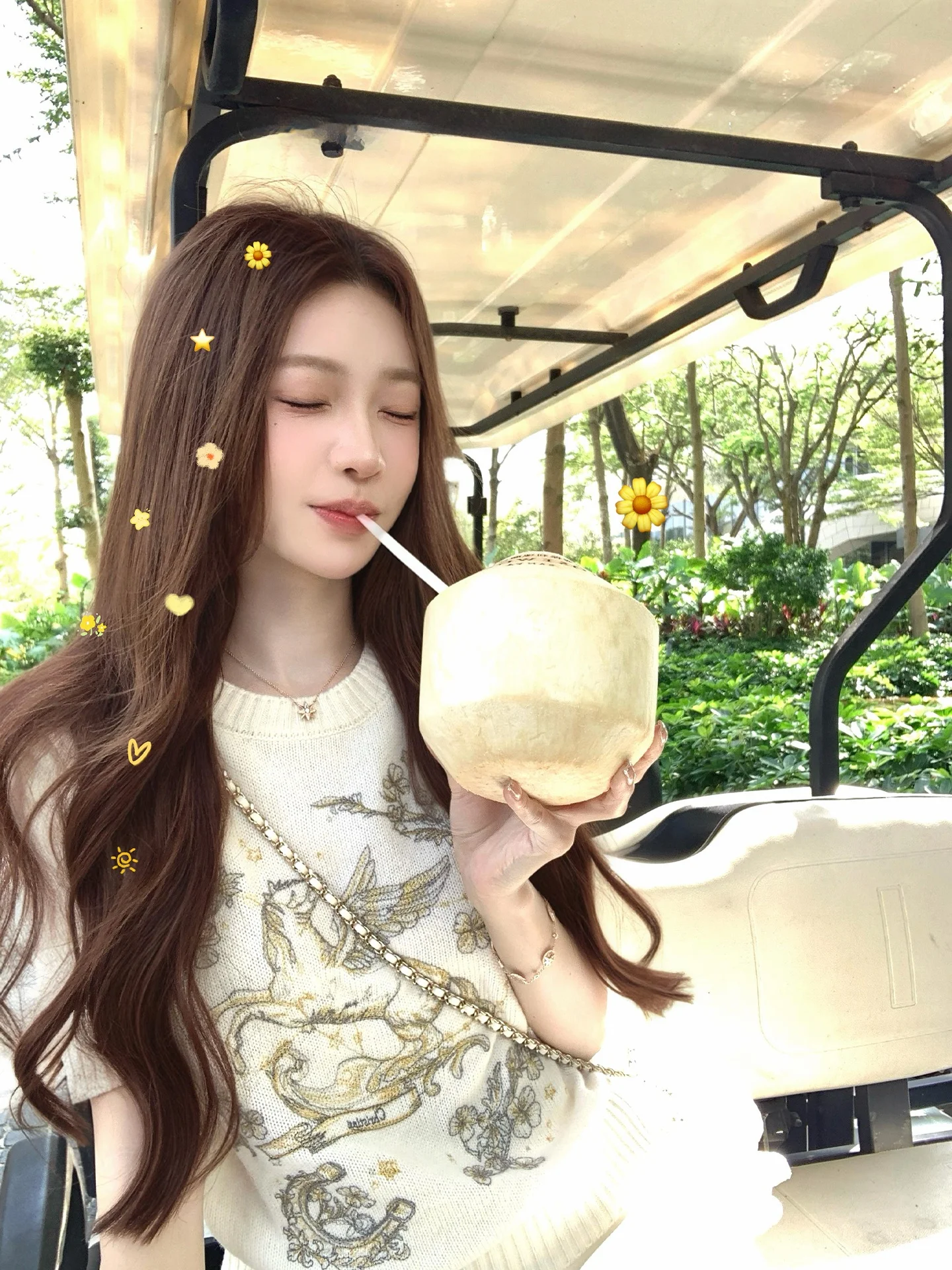 

Coolline Heavy Embroidery Australian Wool Knitted ort Sve Slim Fit Top Luy Little D Home Casual Sle Women's irt