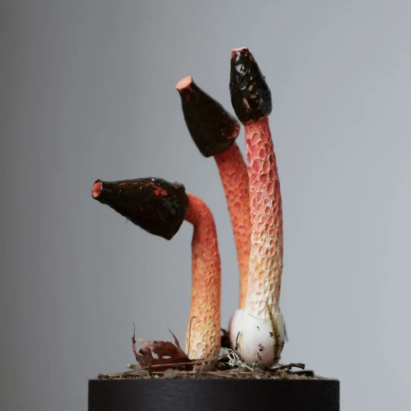 Ręcznie Robione Ozdoby Grzybki Czerwonego Grzyba Pieprzowego Zabawki Dekoracje na Biurko Personalizowane Grafiki Kolekcja Dekoracja Prezent