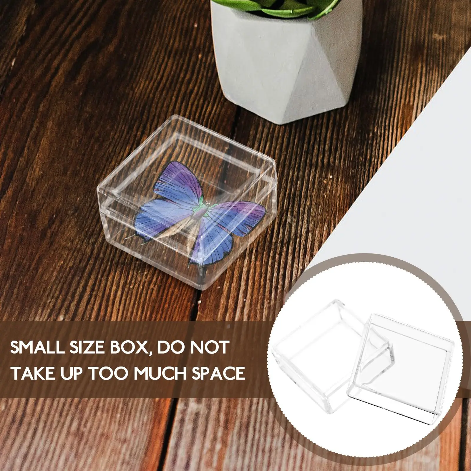 10 Pcs Transparent Storage Boxes Mini Specimen Display Cases Clear Plastic Containers Home ganization Solutions