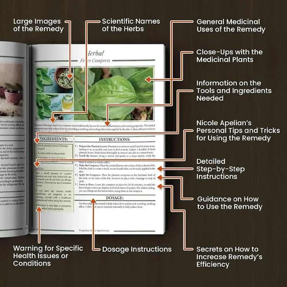 الصيدليين العائليين المنسيةون، 250 علاجيًا قويًا داخل الوصول، أطباء عائلة الصحة اليومية، طبعة A4 جديدة تمامًا غير مفتوحة