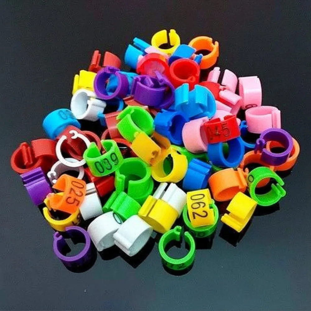 Pigeon Leg Rings Plastic Identification Bands For Racing Birds Poultry Management Accessories Durable Numbered Markers