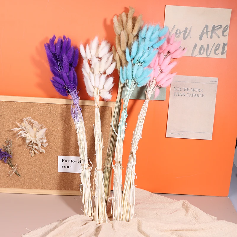 باقة زهور مجففة لترتيب الأزهار بنفسك ، السهوب المنفوشة ، عشب ذيل أرنب طبيعي ، حفل زفاف ، ديكور عيد الميلاد ، 50 * #3