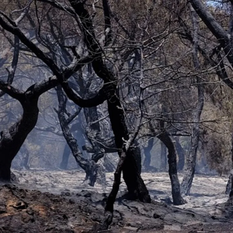 

Front and rear axle drive shafts for 1/12 MN82T LC79 MN82S MN82Pro MN82