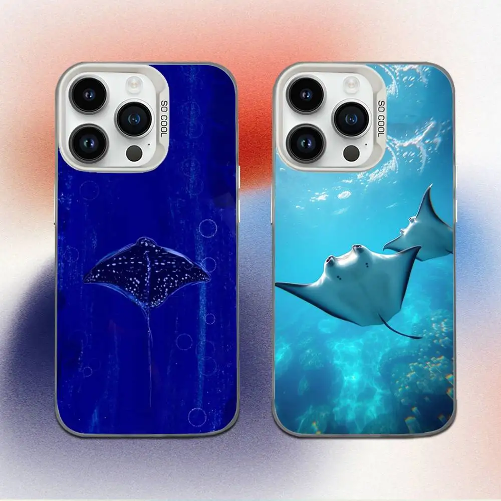 

Ocean Animal Manta Ray Phone Case For iPhone 16,15,14,13,12,11,Mini,Pro,E,MAX White Candy Matte Shockproof Cover