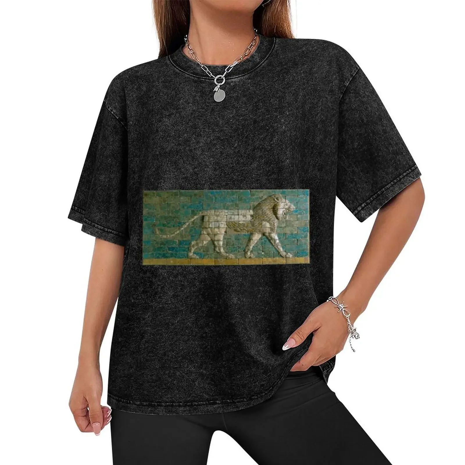 Ancient Babylonian Lion Wall Panel T-Shirt sweat plus size tops shirts graphic tee mens t shirt graphic