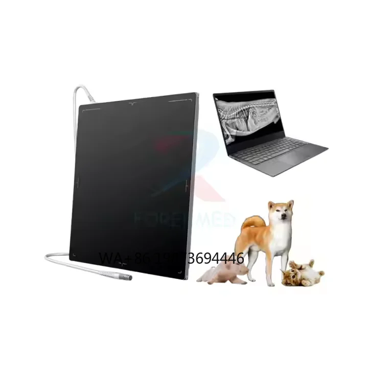 

Veterinary DR Flat Panel Detector 17*17 Portable Wired FPD Digital Xray Flat Panel Detector