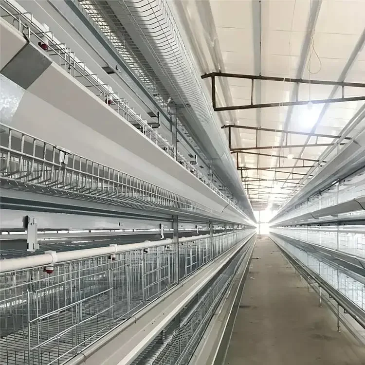 

H Type Layer Chicken Cage,Fully Automated Battery Cage Systems, Automated Egg Picking Systems, Customized Purchase on Demand