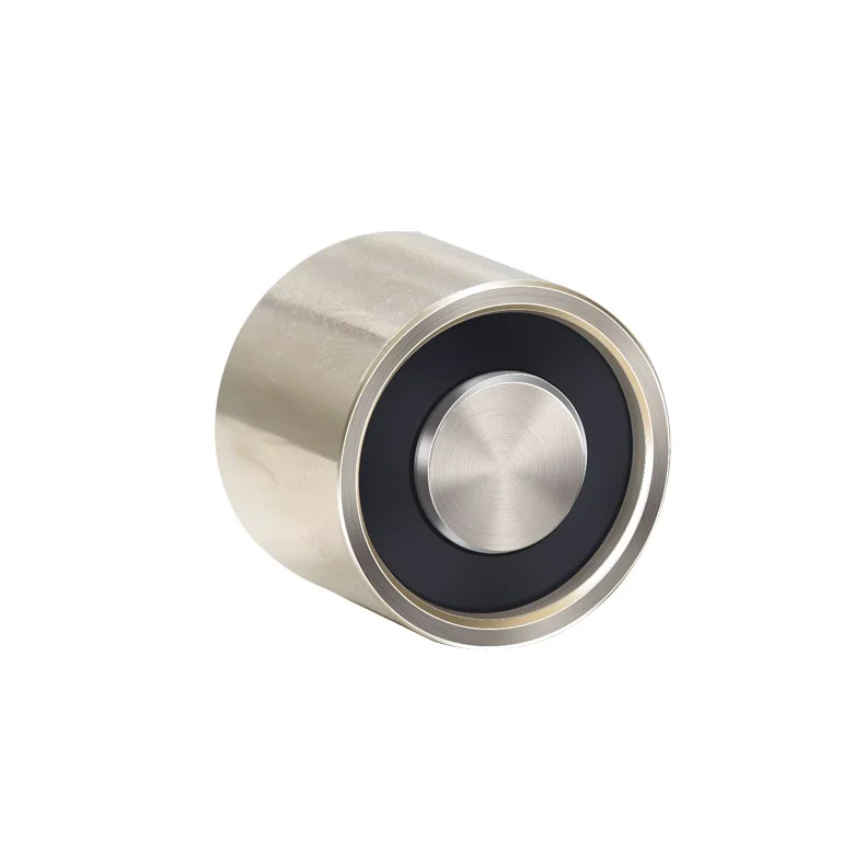 Lève-électro-aimant rond DC 12V/ 24V/220V, petit élévateur magnétique, Mini électro-aimant de maintien, 100kg, 200kg, 300kg