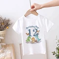 TK489372-KSTWH