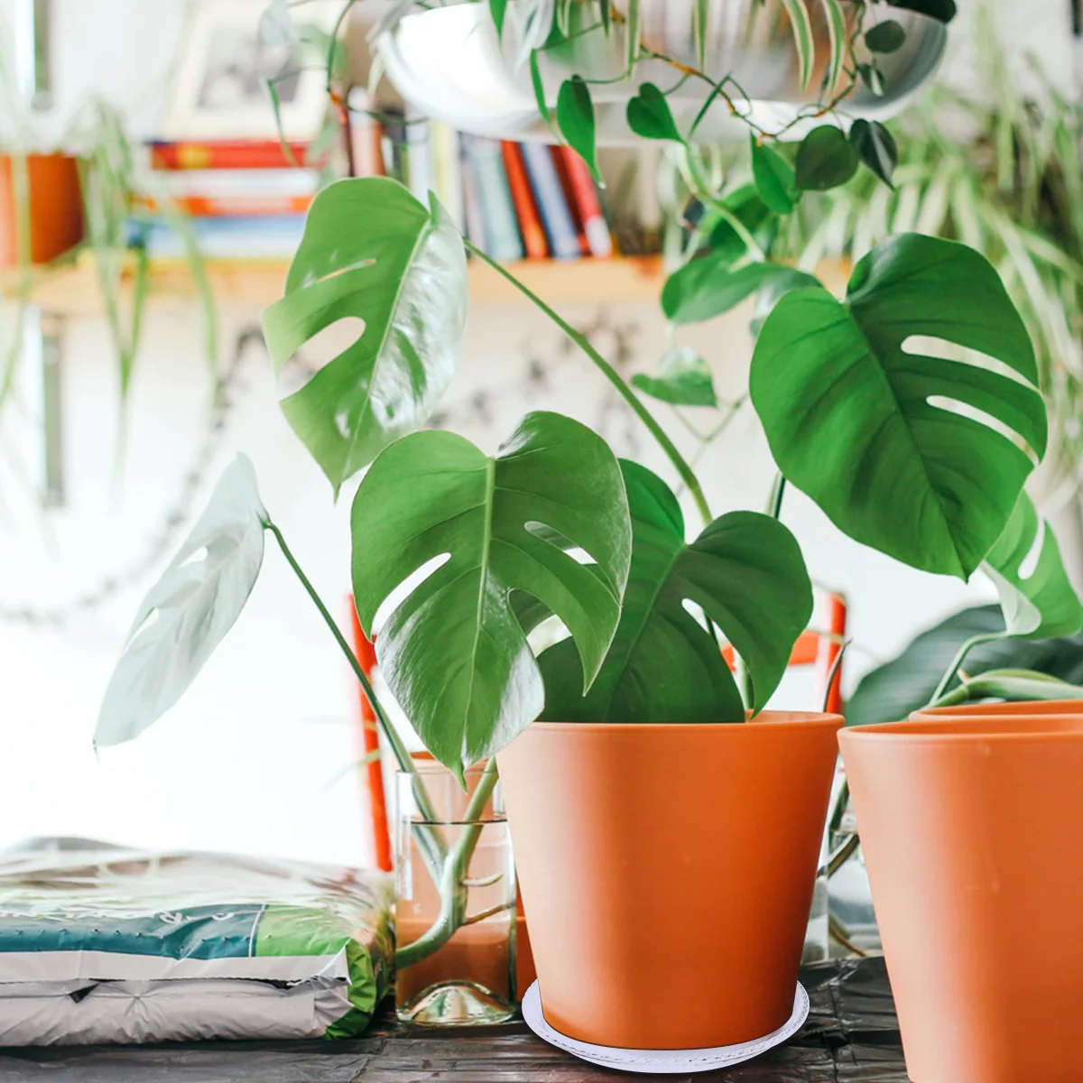 

2Pcs White Plant Pot Tray Flowerpot Base Durable Plastic Non-Slip Round Tray for Indoor Outdoor Garden Flowerpot Plate